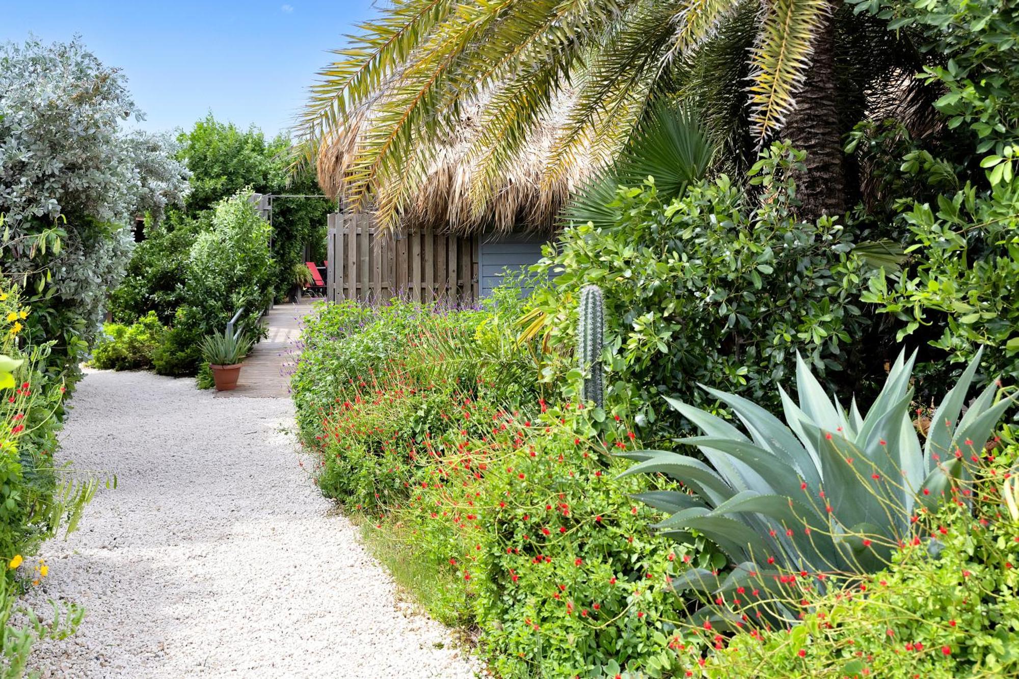 Red Palm Village Playa Eksteriør billede