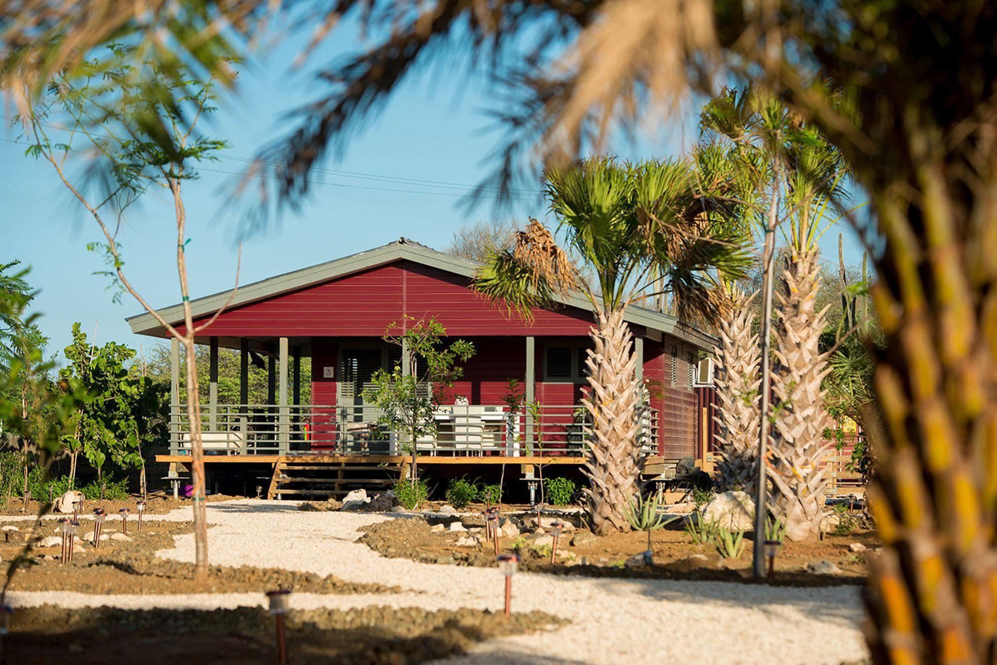 Red Palm Village Playa Eksteriør billede