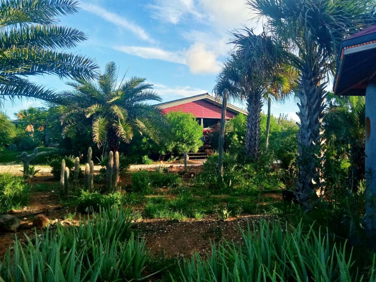 Red Palm Village Playa Eksteriør billede