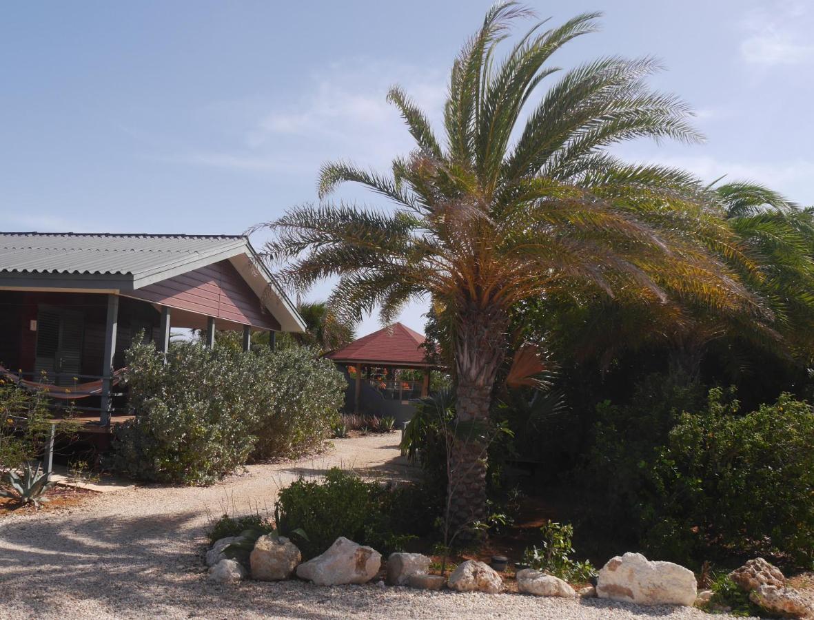 Red Palm Village Playa Eksteriør billede