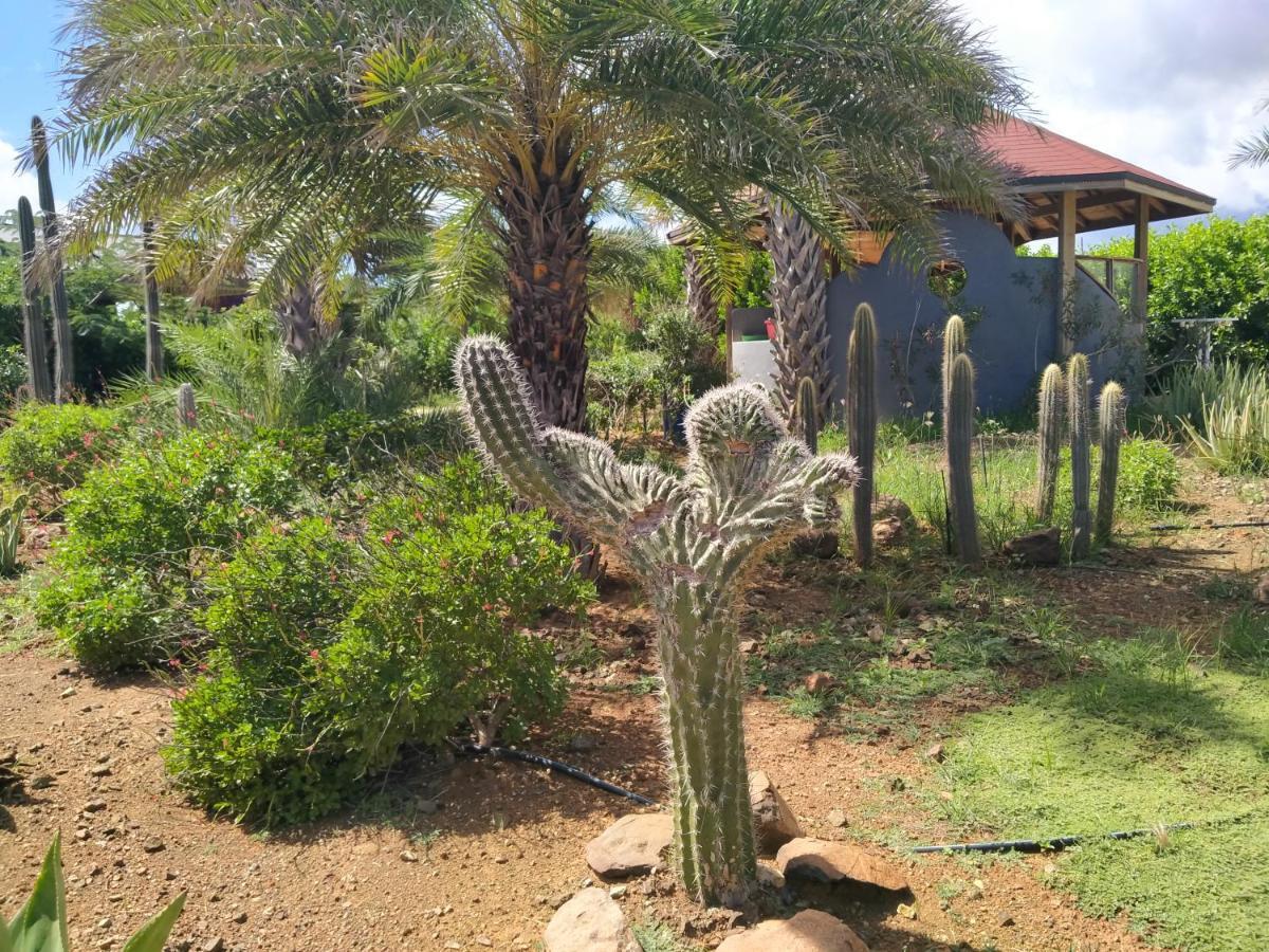 Red Palm Village Playa Eksteriør billede